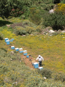 Bienenkästen in Kretas Bergwelt